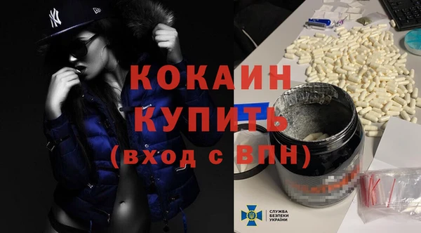 шишки Михайловск