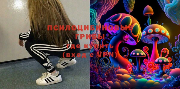2c-b Михайлов