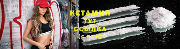шишки Михайловск