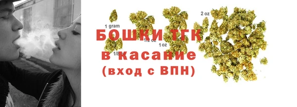 прущие грибы Михайловка