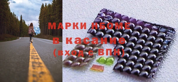 прущие грибы Михайловка