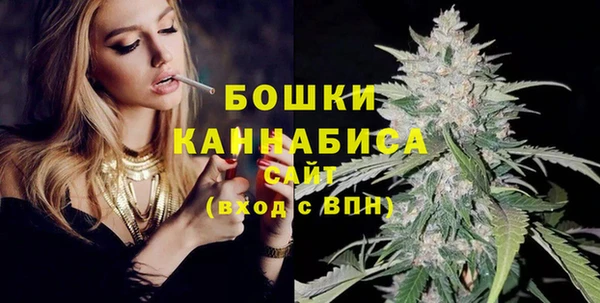 прущие грибы Михайловка
