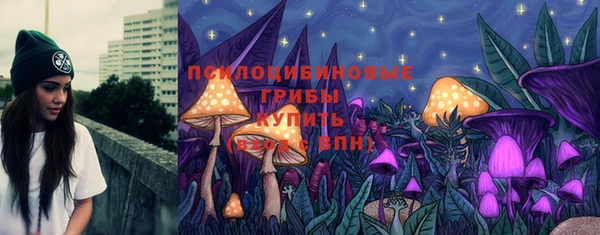 шишки Михайловск