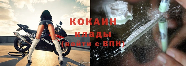 шишки Михайловск