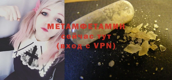 прущие грибы Михайловка