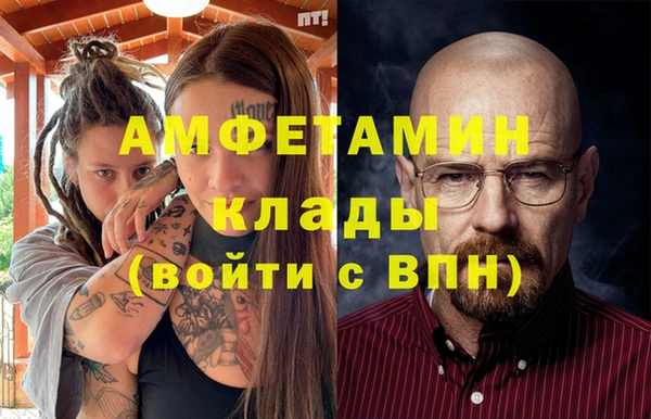 шишки Михайловск