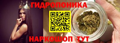 a pvp Гагарин