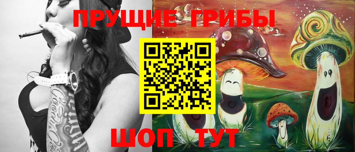 Псилоцибиновые грибы ЛСД Зеленодольск