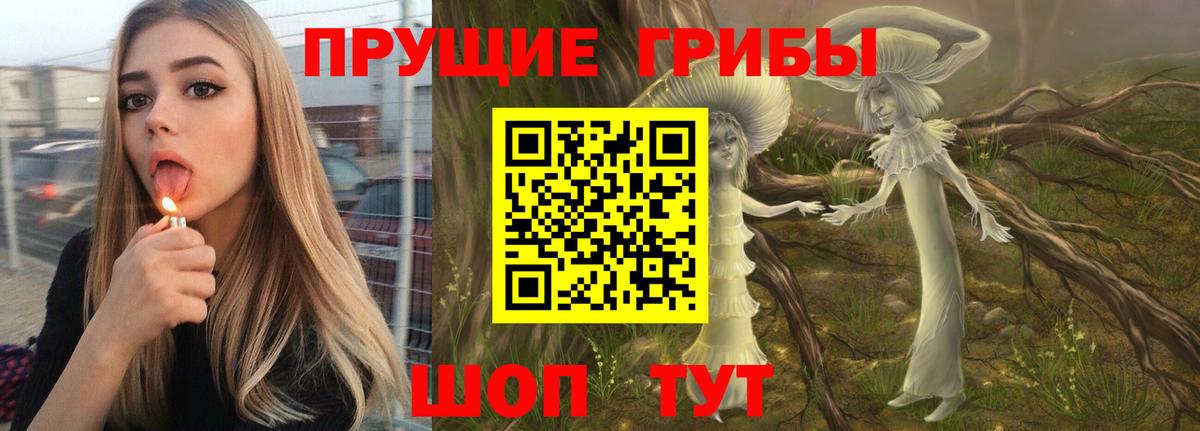 Галлюциногенные грибы Psilocybine cubensis Зеленодольск