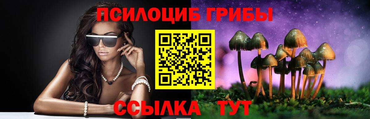 Зеленодольск  Псилоцибиновые грибы Magic Shrooms  Вход с VPN 